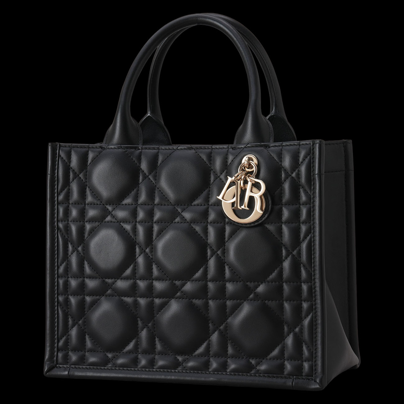 CHRISTIAN DIOR(USED)디올 레더 북토트 스몰
